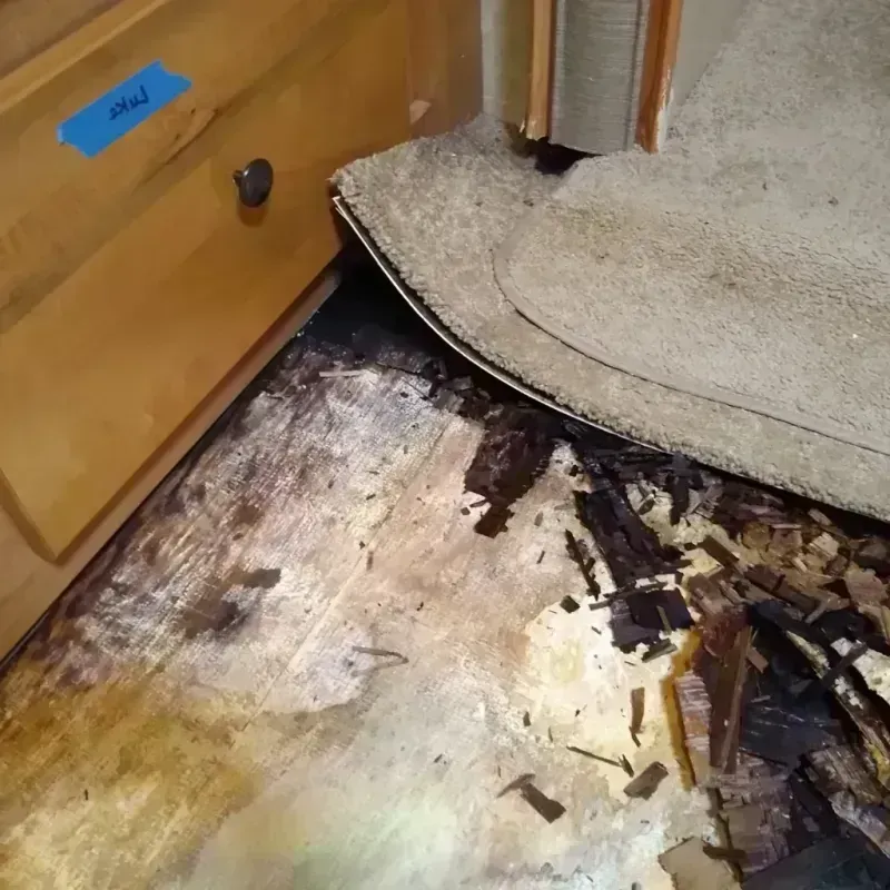 Best Wood Floor Water Damage Service in Dumont, NJ